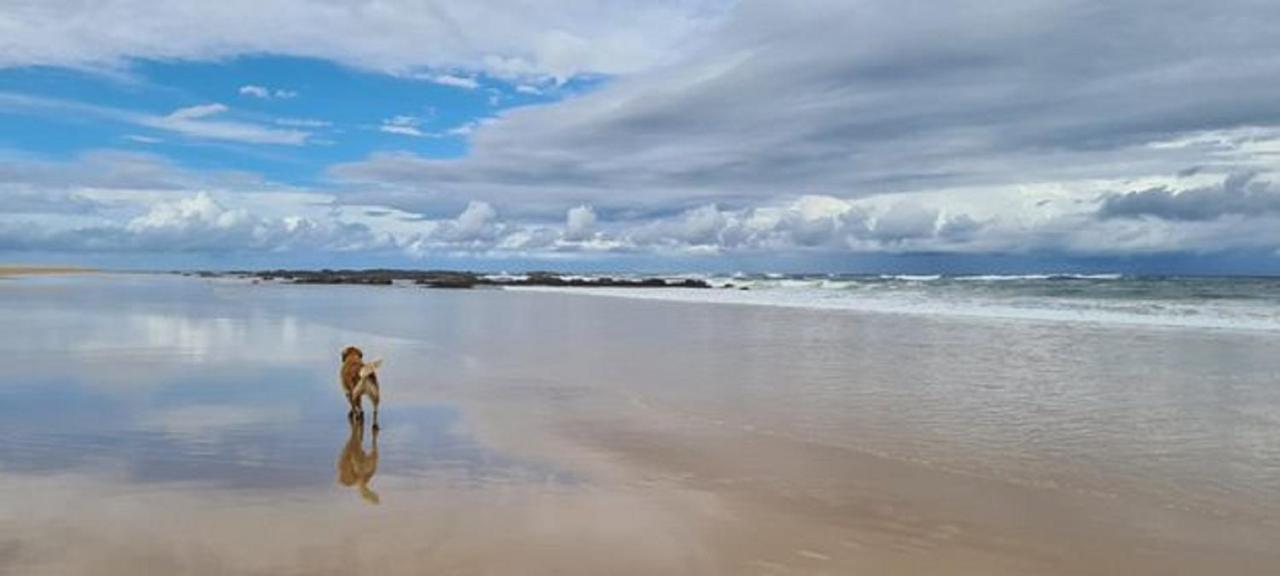 Diamond Beach Resort, Mid North Coast Nsw 외부 사진