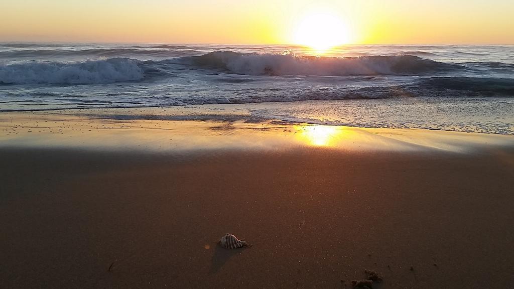 Diamond Beach Resort, Mid North Coast Nsw 외부 사진